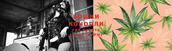 гидра Надым