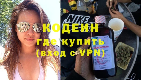 гидра Надым