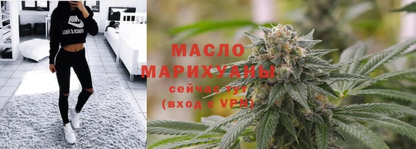 гидра Надым