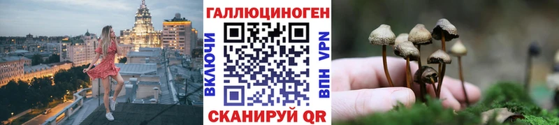 мега как войти  Навашино  Галлюциногенные грибы прущие грибы 